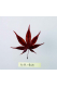 紅葉の葉（赤）【200枚入り】