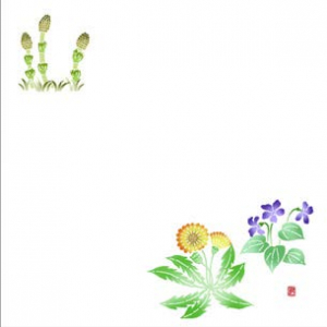 耐油雲流彩花天紙5寸 【100枚】 春草