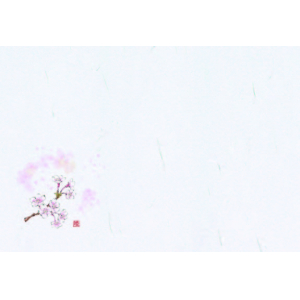 桜（3月～4月）描き下ロしデザイン尺３紙マット（上質紙）【100枚入】