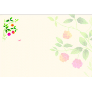 サネカズラ（11月～1月）四季の花シリーズ 尺3紙マット（上質紙）【100枚入】