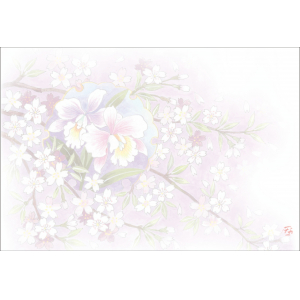 Ｆ８０１　尺３紙マット着物柄シリーズ　蘭に桜　100枚入