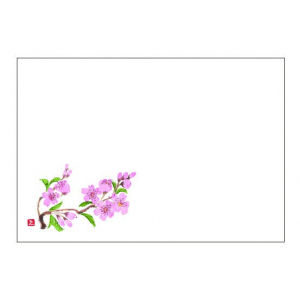 桜（3月～4月）尺3紙マット（上質紙）【100枚入】