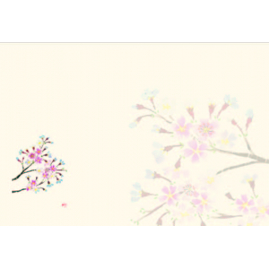 サクラ（4月）四季の花シリーズ 尺3紙マット（上質紙）【100枚入】