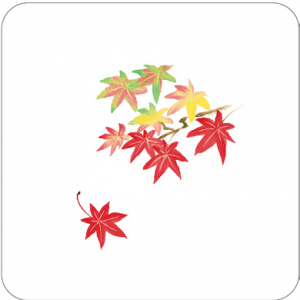 四季コースター 紅葉（9月～11月）
