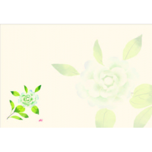 白椿（3月～4月）四季の花シリーズ 尺3紙マット（上質紙）【100枚入】