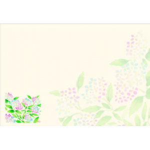 アジサイ（5月～6月）四季の花シリーズ 尺3紙マット（上質紙）【100枚入】