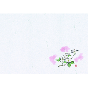 Ｎ１２９　尺３紙マット　花水木　100枚入