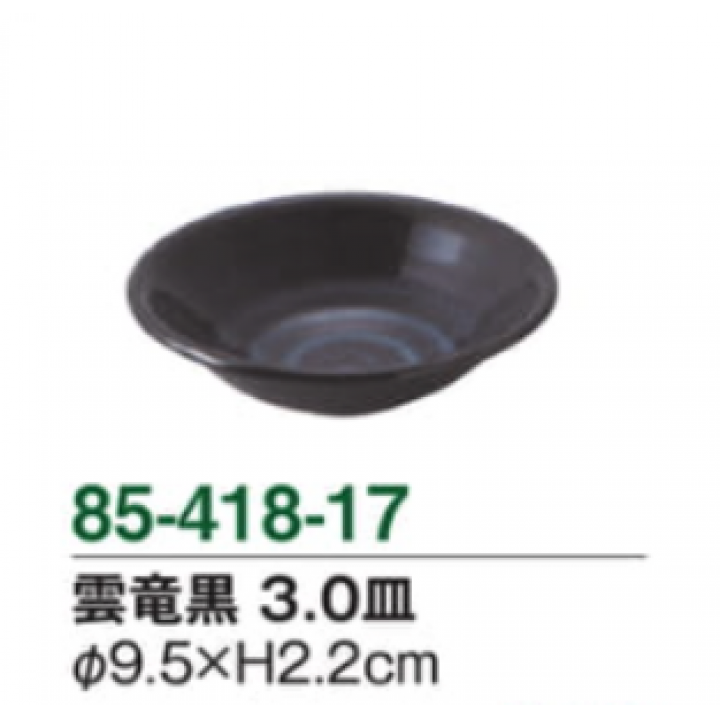 雲竜黒　3.0皿
