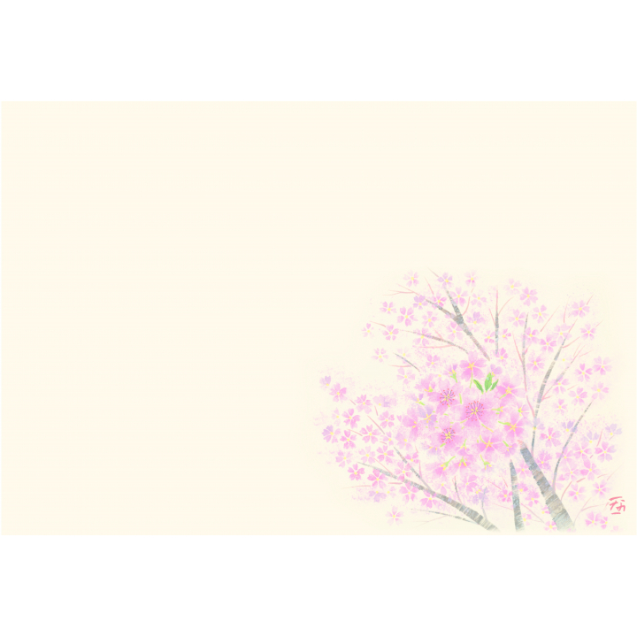 Ｆ６４０　尺３紙マット花シリーズ　桜　100枚入