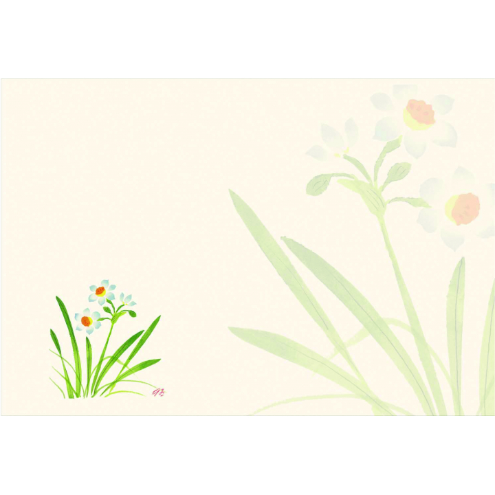 スイセン（1月～3月）四季の花シリーズ 尺3紙マット（上質紙）【100枚入】