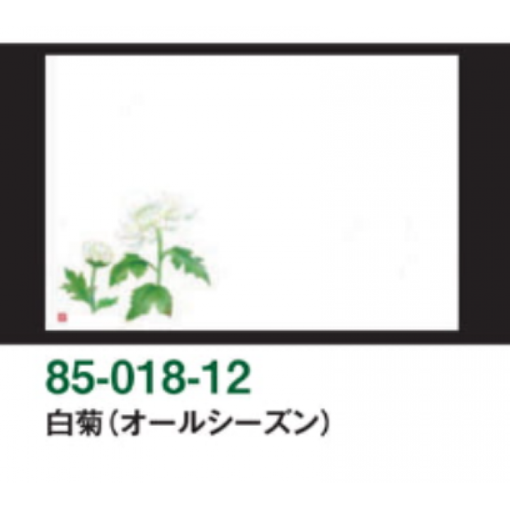 白菊（オールシーズン）尺3和紙マット（雲龍和紙）【100枚入】